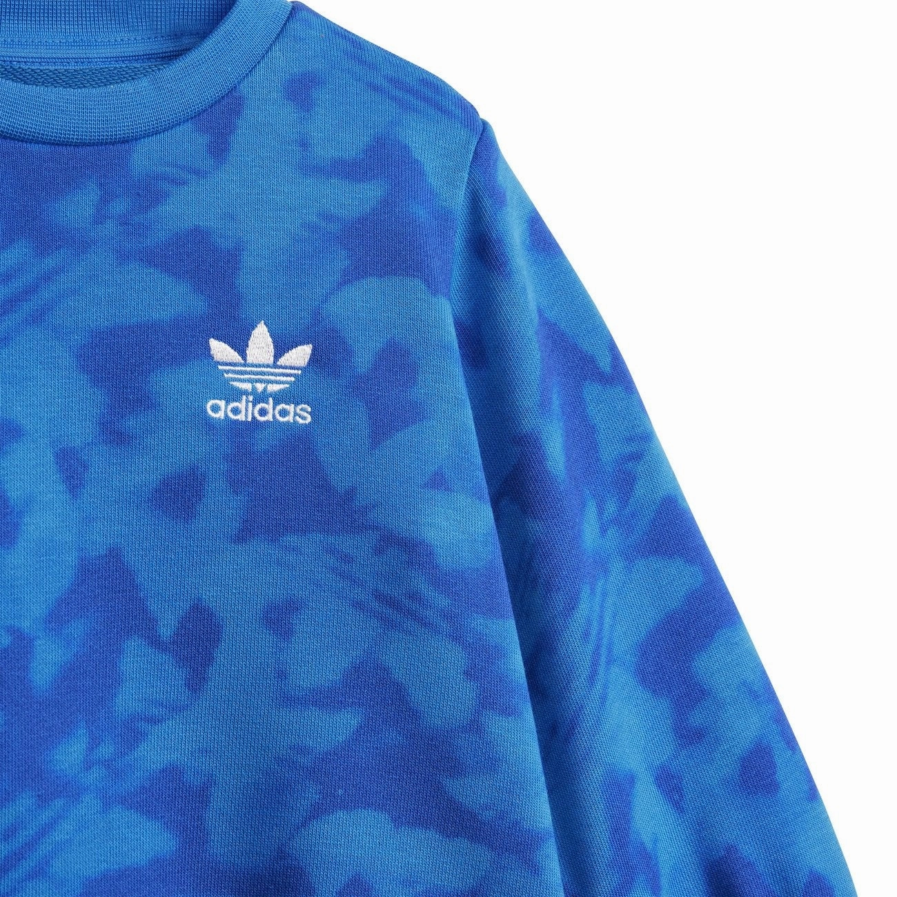 expedition adidas Originals Blue Bird / Semi Lucid Blue Sweat Set