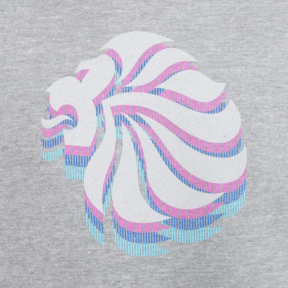 Spiritual wear Multipack Deal Adult Team GB Stacked Large Lion Sweat  - Grey