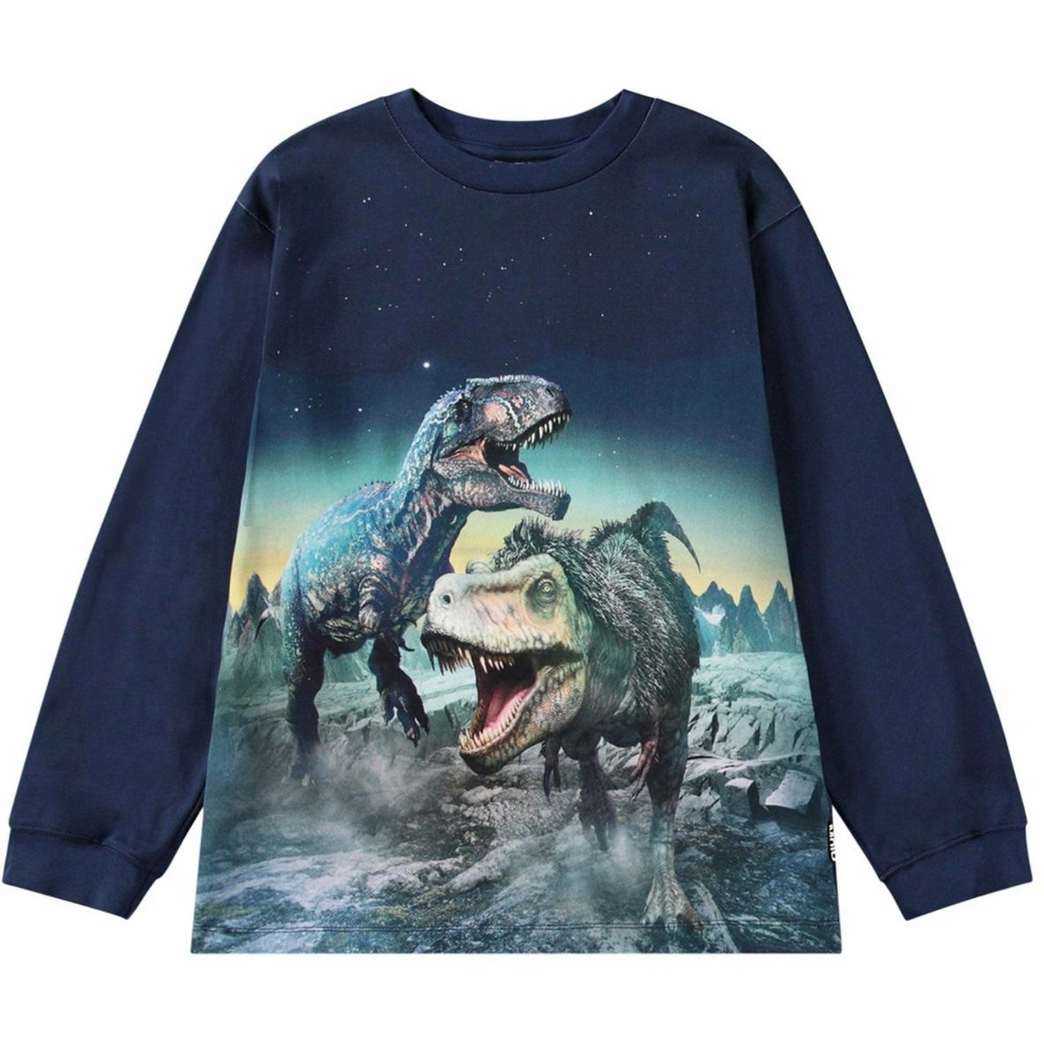 Molo Playing Dinos Rube T-Shirt Sporty Layer Look Autumn coziness