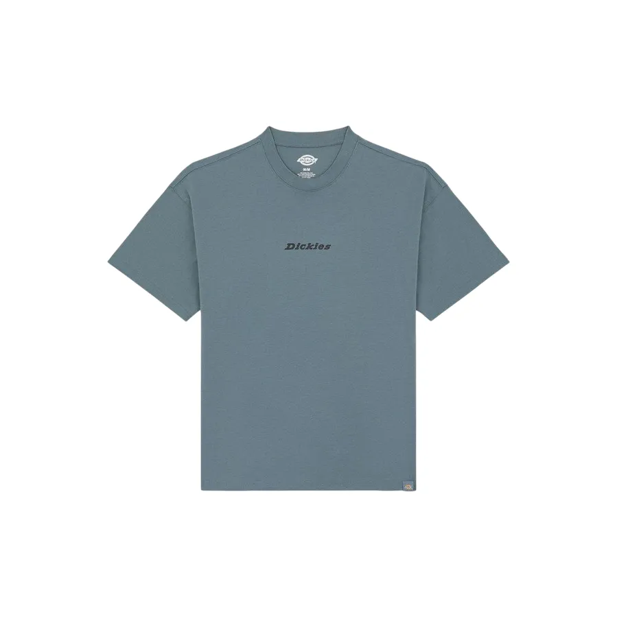 Dickies maglietta manica corta da uomo Enterprise DK0A4YRNG701 nuvole grigie Everyday Fit