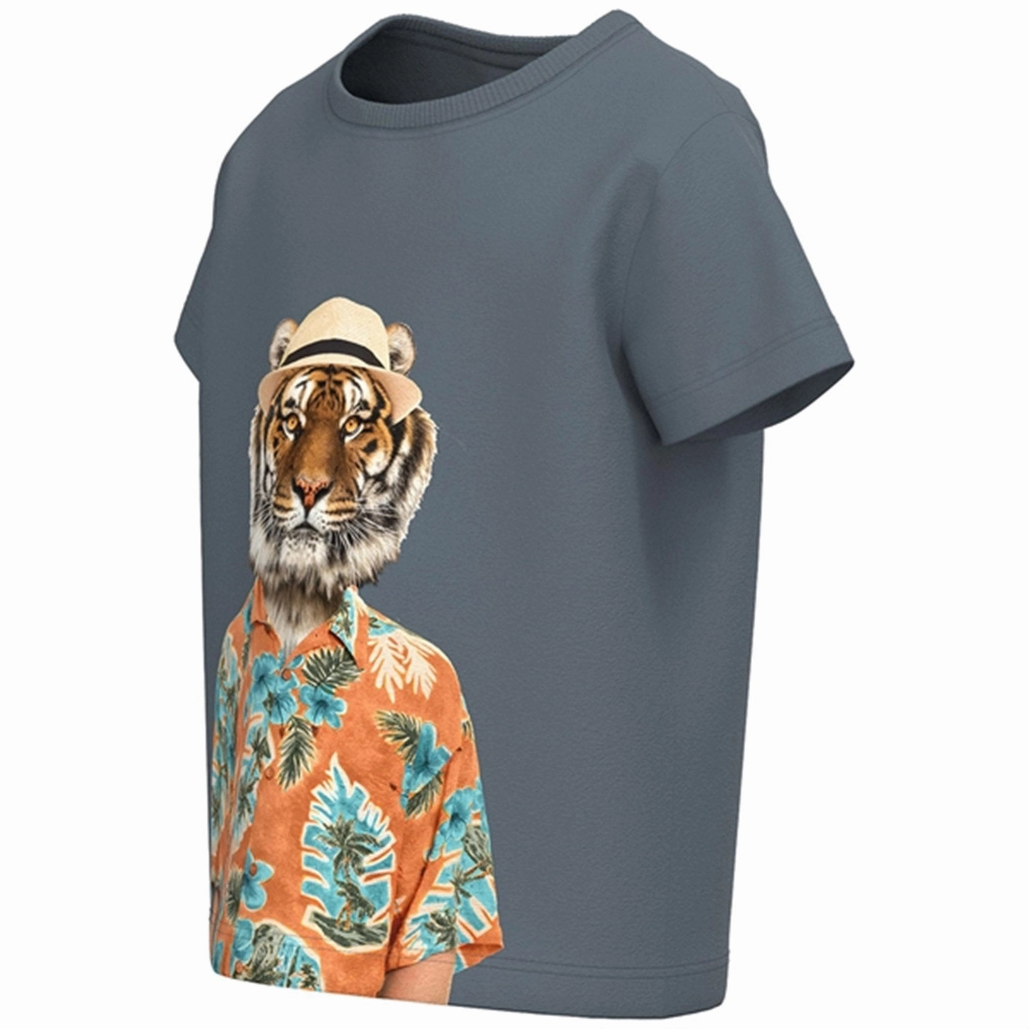 Active Comfort Printed design Name it Stormy Weather Hohan T-Shirt