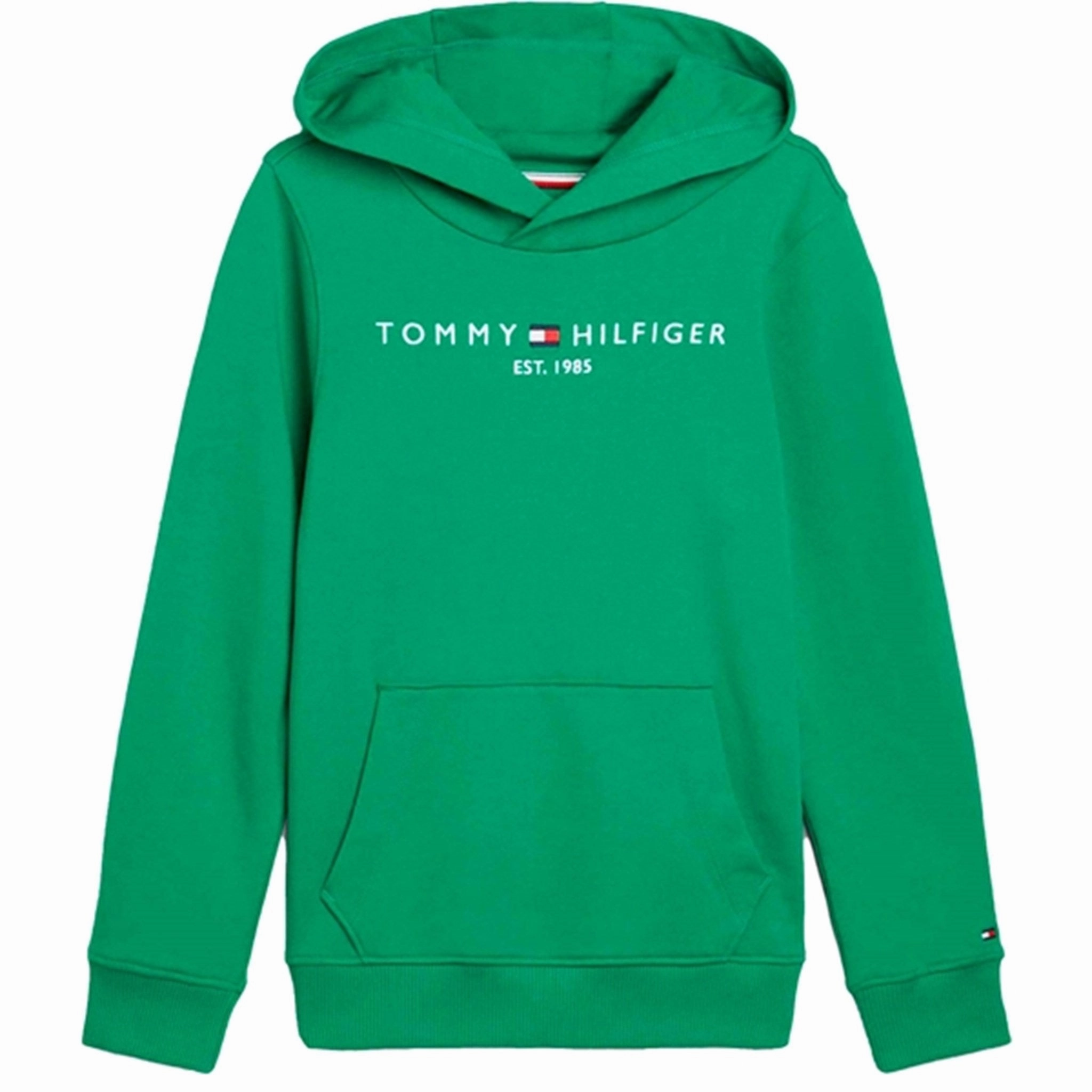 Street Style Ribbon Details Tommy Hilfiger Essential Hoodie Olympic Green