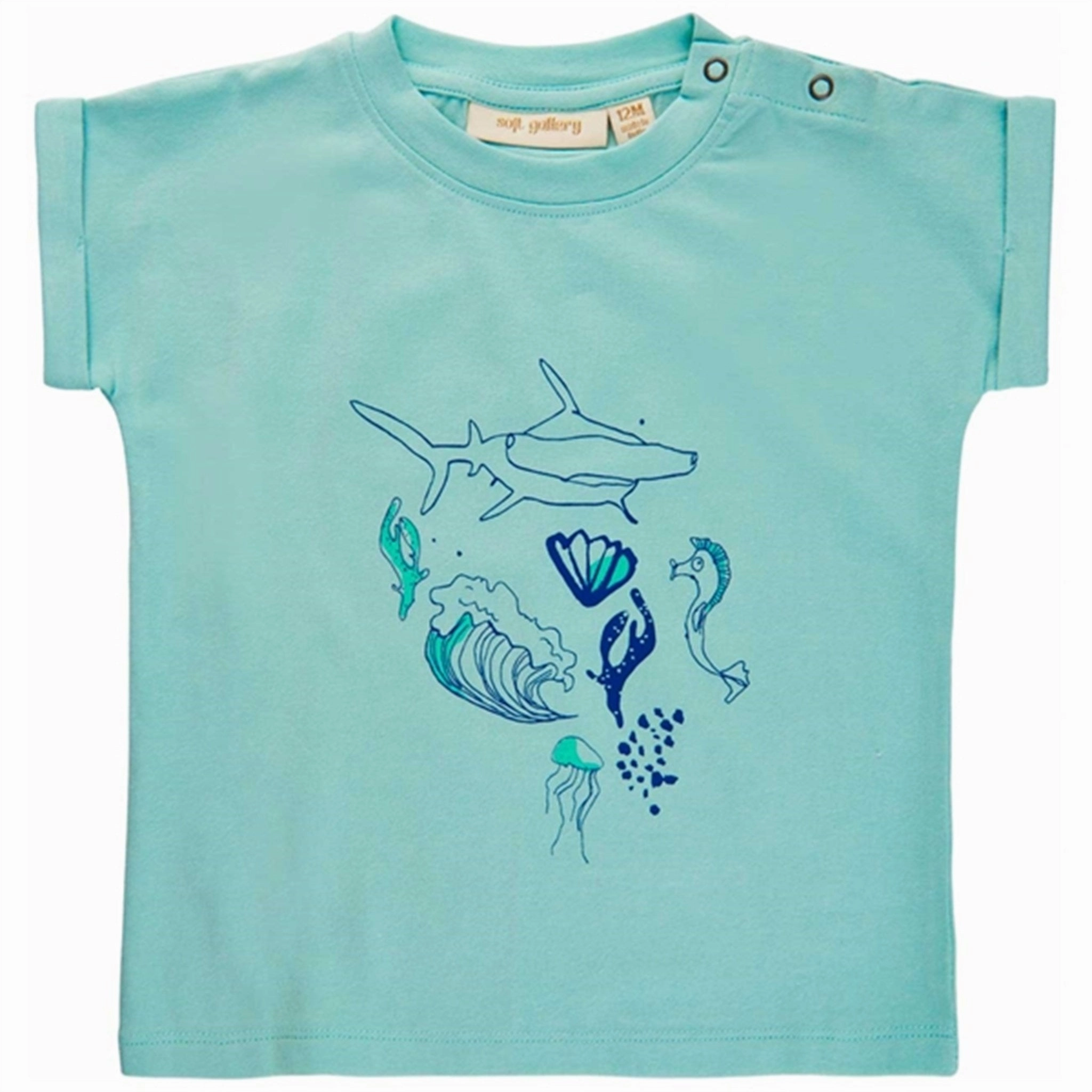Cool and Chic Soft Gallery Canal Blue Frederick Sealife Tee