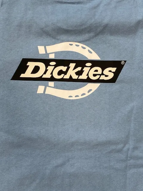 Functional Side Gussets informal gathering Dickies T-shirt manica corta da uomo Ruston DK0A4DC C36 celeste chiaro