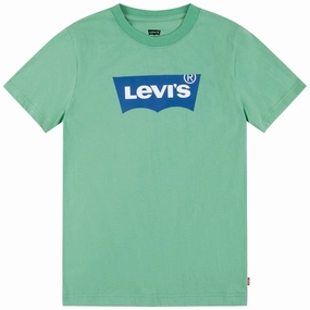 High-Quality Fabric Levi's Batwing T-shirt Green