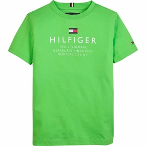 Tommy Hilfiger Logo T-shirt Spring Lime EcoFriendly Dye Best Seller