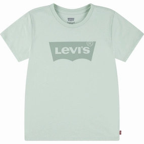 Levi's Celadon Lvg Batwing Tee City Look