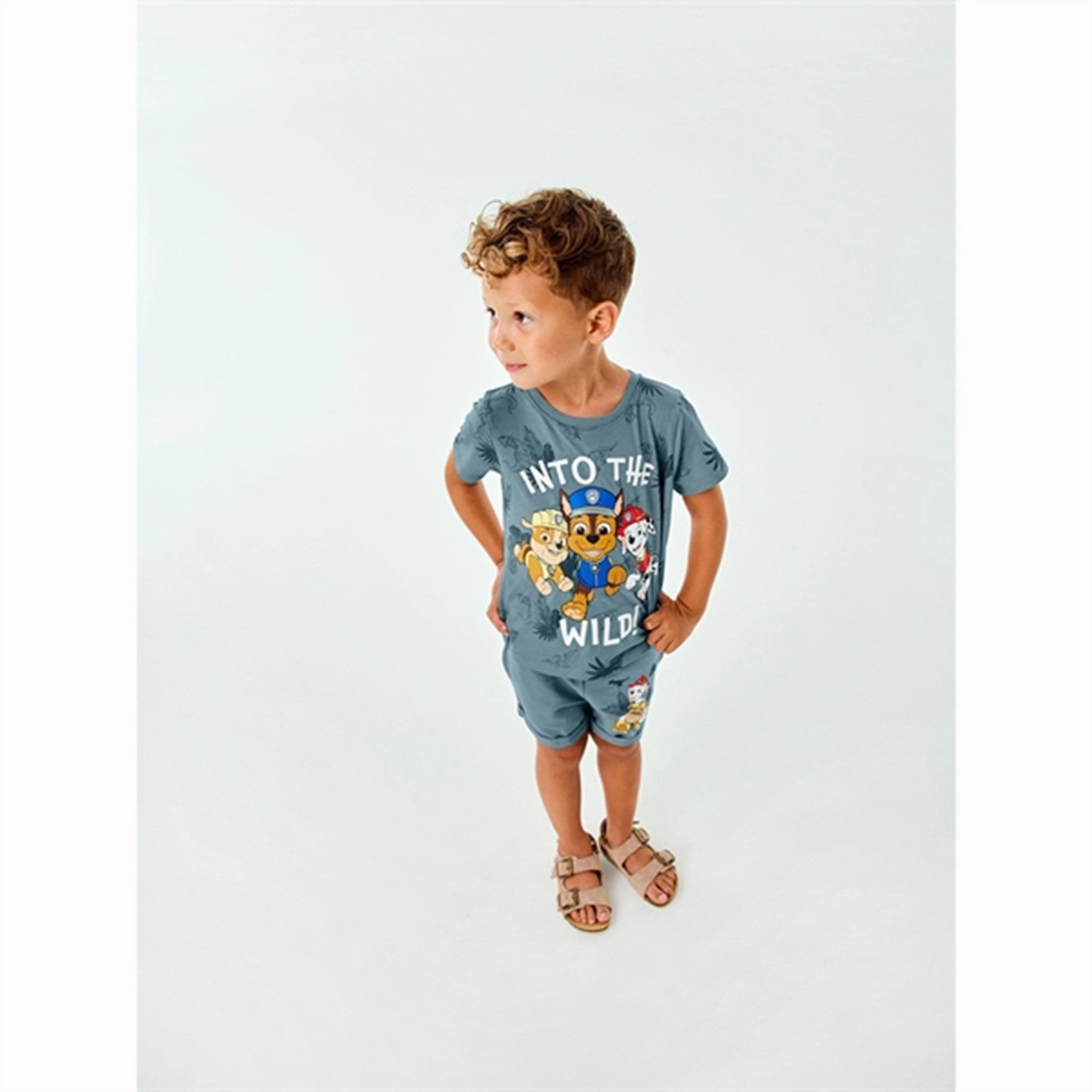 Lightweight Style Light Wear Name it Smoke Blue Mont Paw Patrol T-Shirt