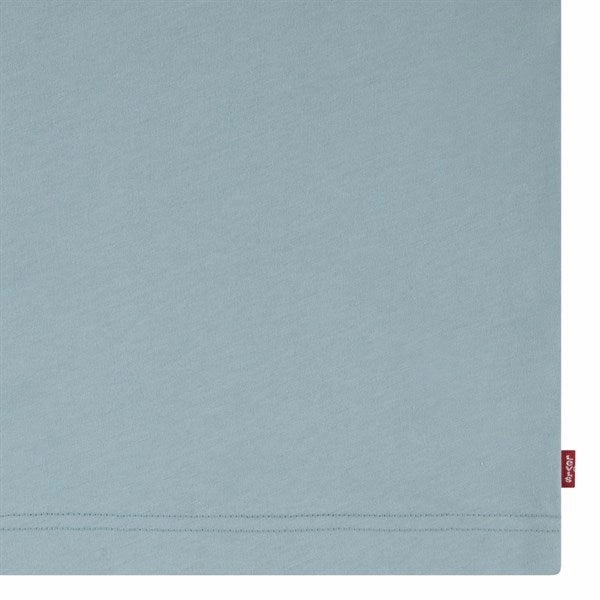 Levi's Batwing Chest Hit T-Shirt Levi'S Blue Surf Casual Outfit Everyday Outfit