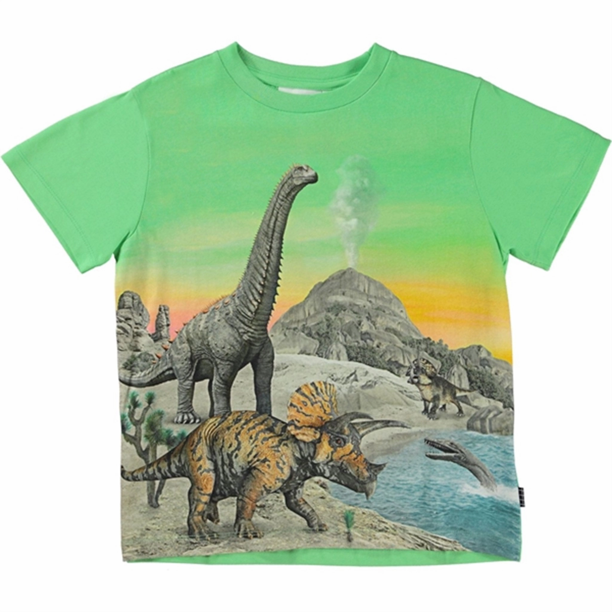 Molo Colourful Dinos Rame T-shirt Sleeveless freedom Stylish Outfit