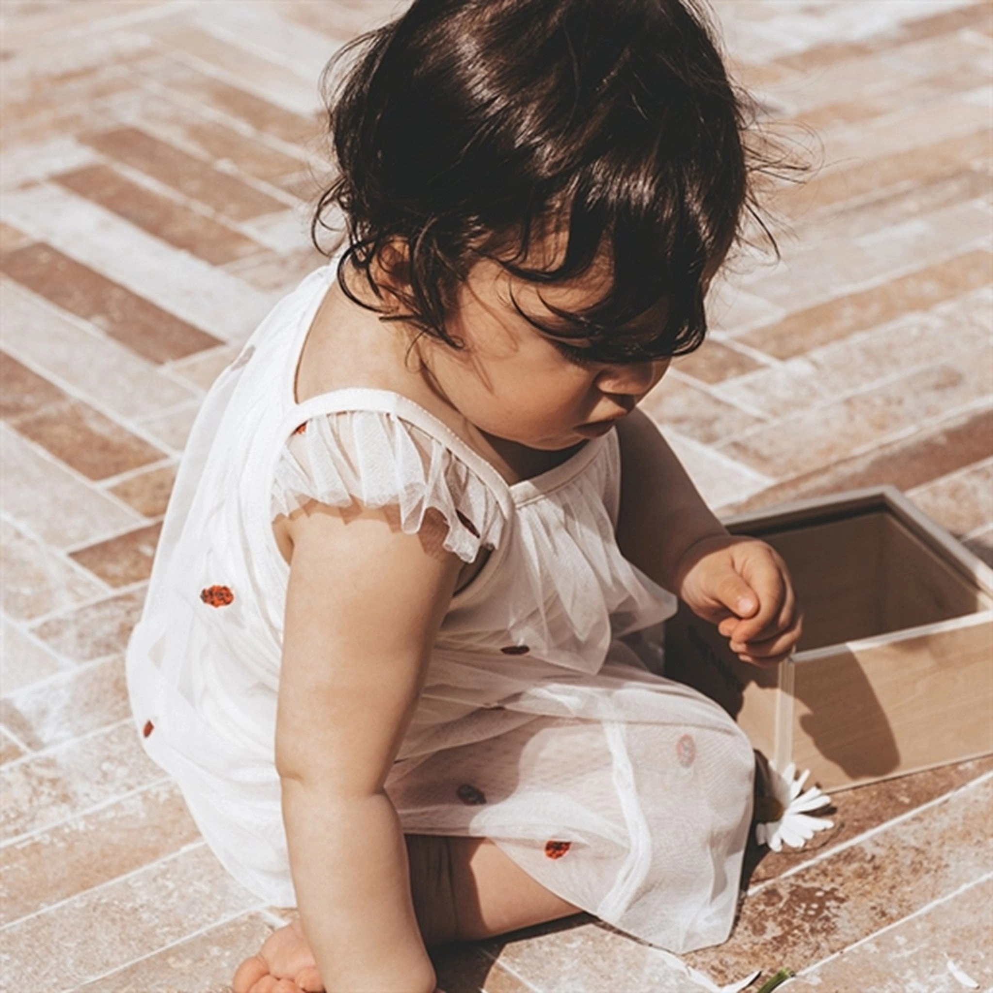 Modern Form Balanced Lines That's Mine Shell Hirsa Body Dress