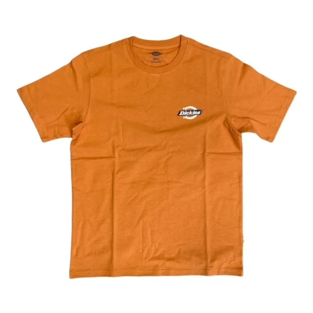Classic Look Seasonal Smart Dickies T-shirt manica corta da uomo Ruston Tee DK0A4XDC C38 giallo ocra