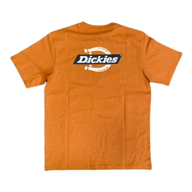 birthday party Low Impact Processing Dickies T-shirt manica corta da uomo Ruston Tee DK0A4XDC C38 giallo ocra