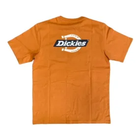 birthday party Low Impact Processing Dickies T-shirt manica corta da uomo Ruston Tee DK0A4XDC C38 giallo ocra