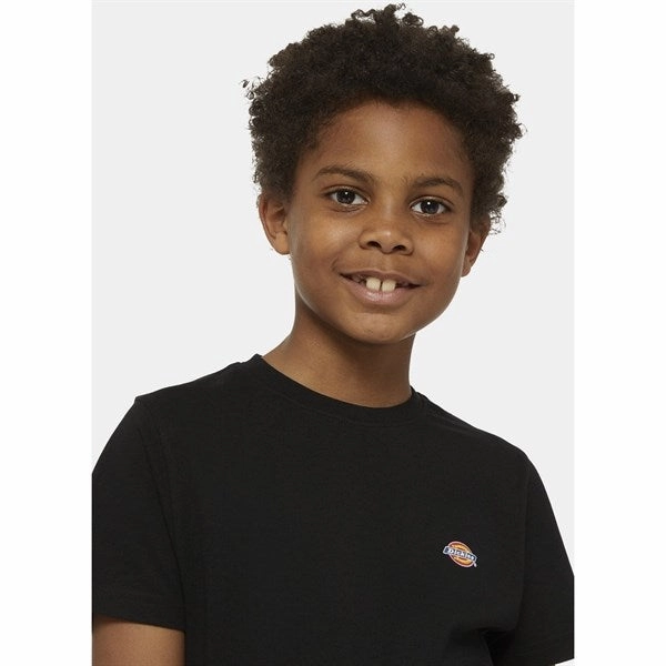 Perfect Layer anti static Dickies Mapleton T-Shirt Knit Black