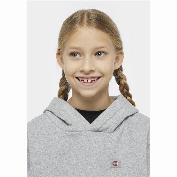 Fish like Dickies Oakport Hoodie Heather Gray