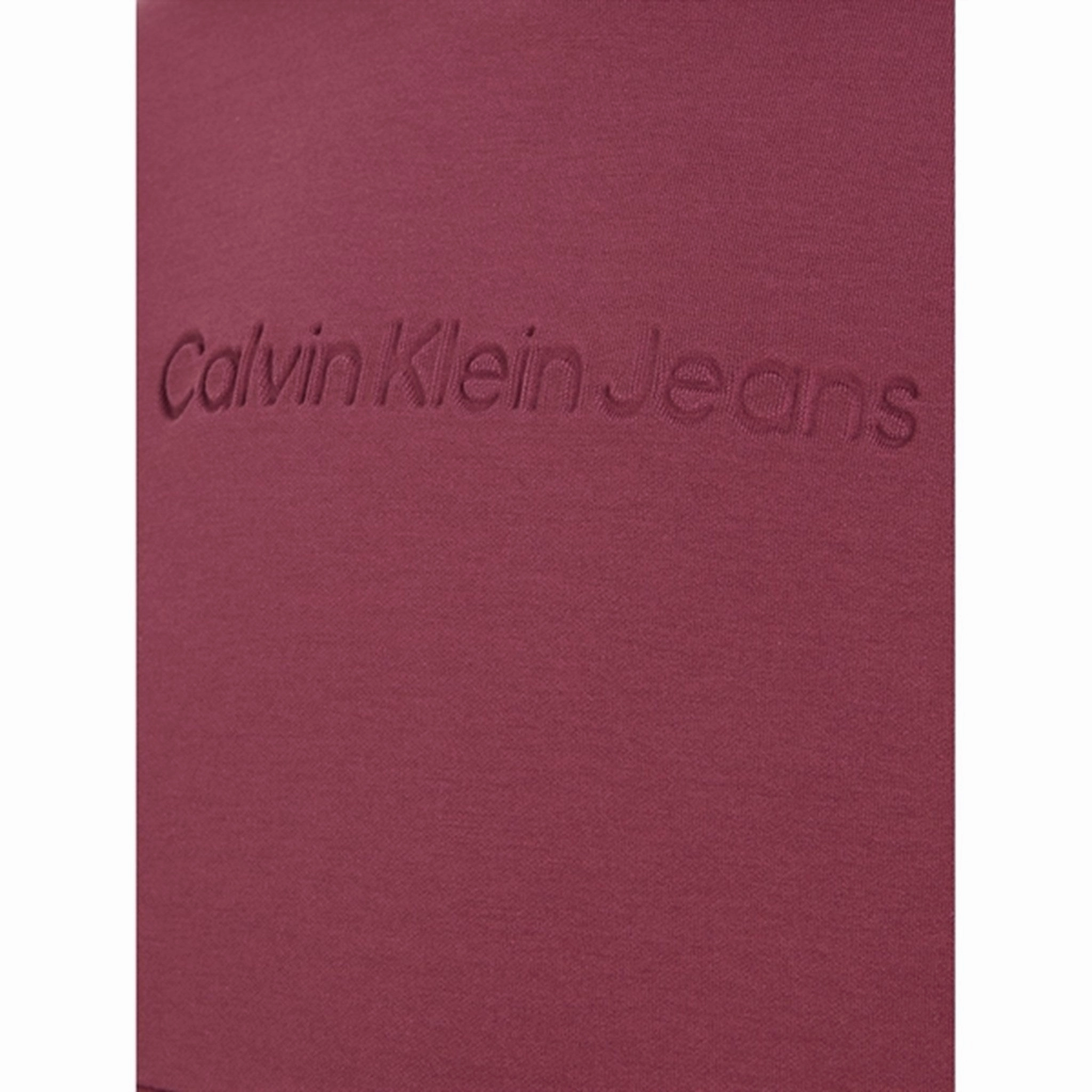 Calvin Klein Spacer Debossed Logo Hoodie Porpoise Bandicoot like