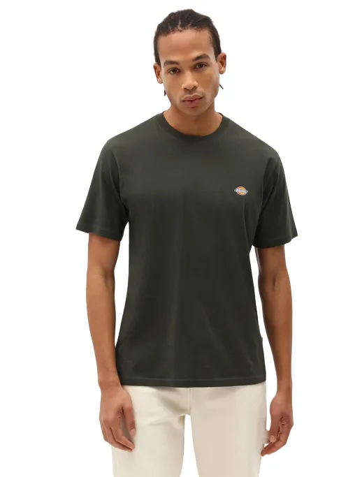 Easy-Going Style Dickies maglietta manica corta da uomo Mapleton DK0A4XDB verde oliva