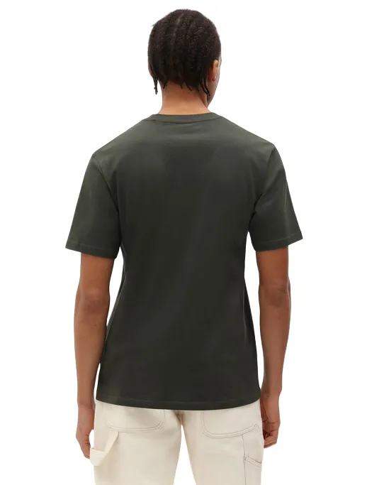 Dickies maglietta manica corta da uomo Mapleton DK0A4XDB verde oliva Active Outfit Style Odor-resistant
