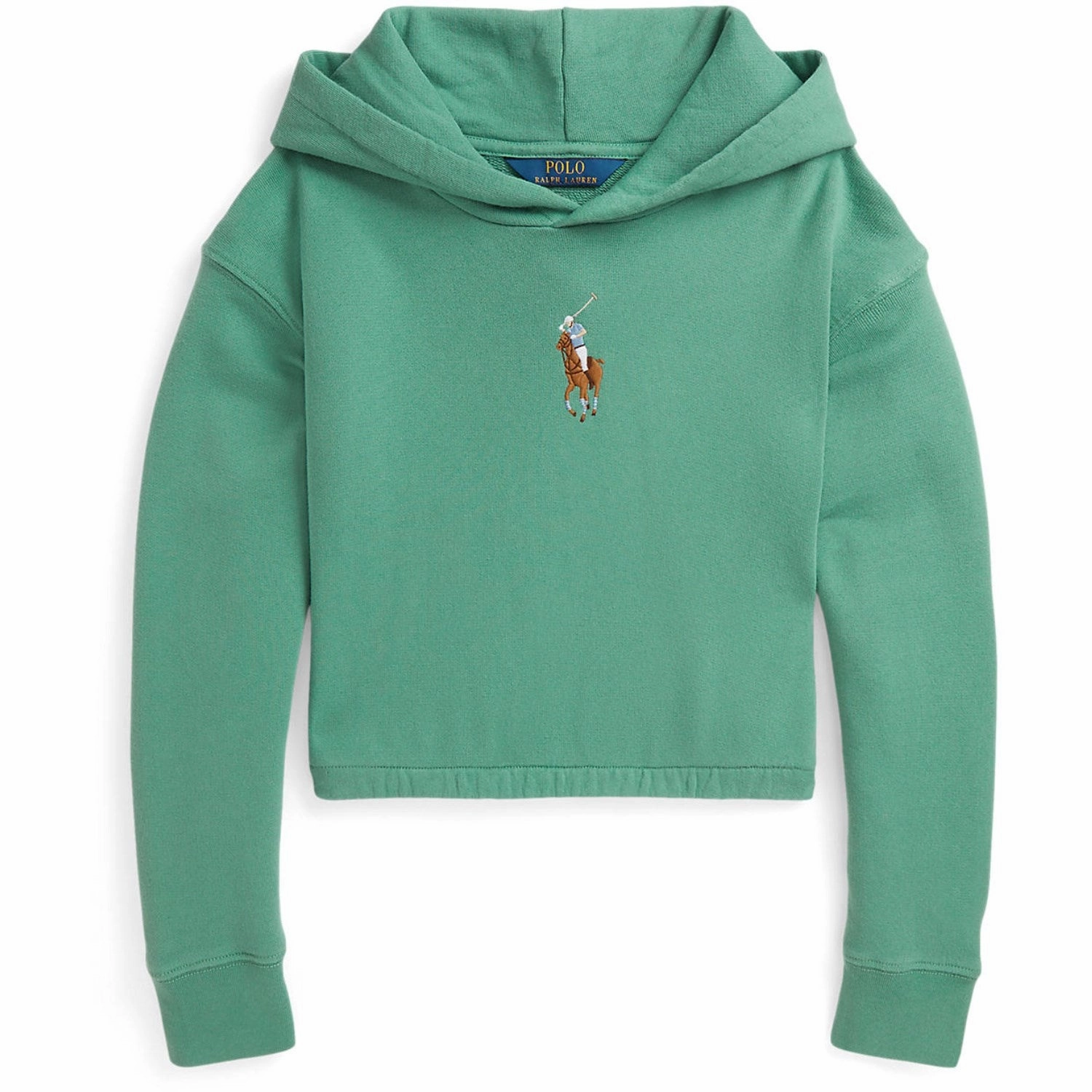 Muskox like Tonal Logo Embroidery Polo Ralph Lauren Fairway Green Hoodie