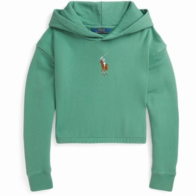 Muskox like Tonal Logo Embroidery Polo Ralph Lauren Fairway Green Hoodie