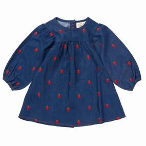 Tonal-Panel Fl?ss Berry Denim Colette Dress