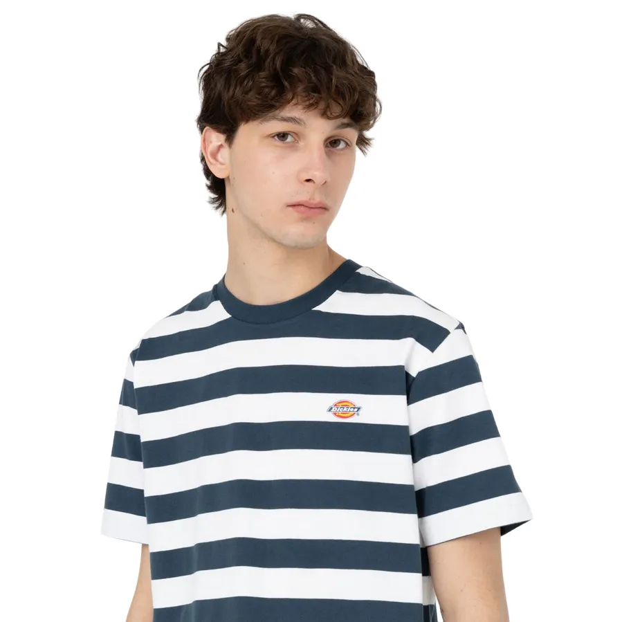 Dickies maglia manica corta da uomo  a righe Rivergrove DK0A4Y8YAF01 blu OdorResistant