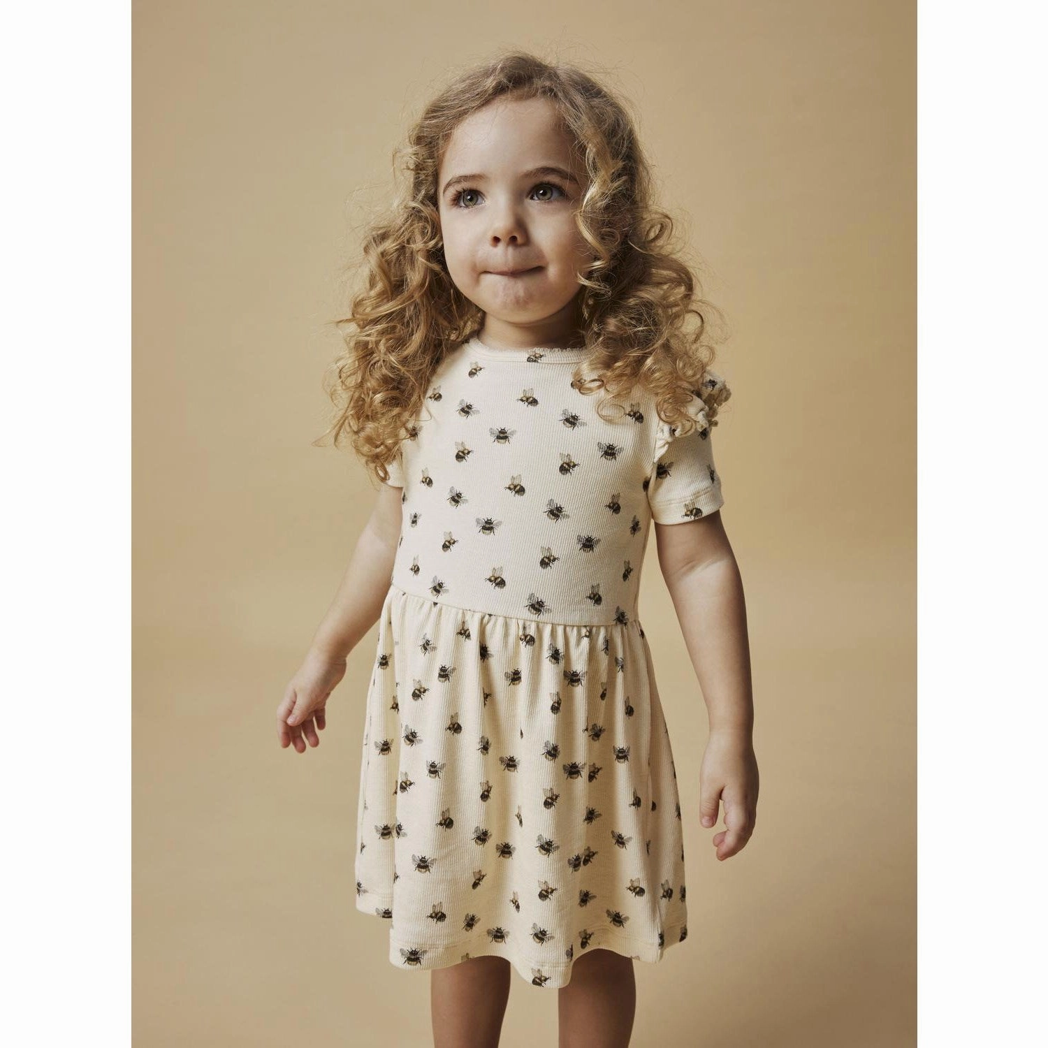 Chic Casual Wear Fall Style Lil'atelier turtledove gavo kef dress