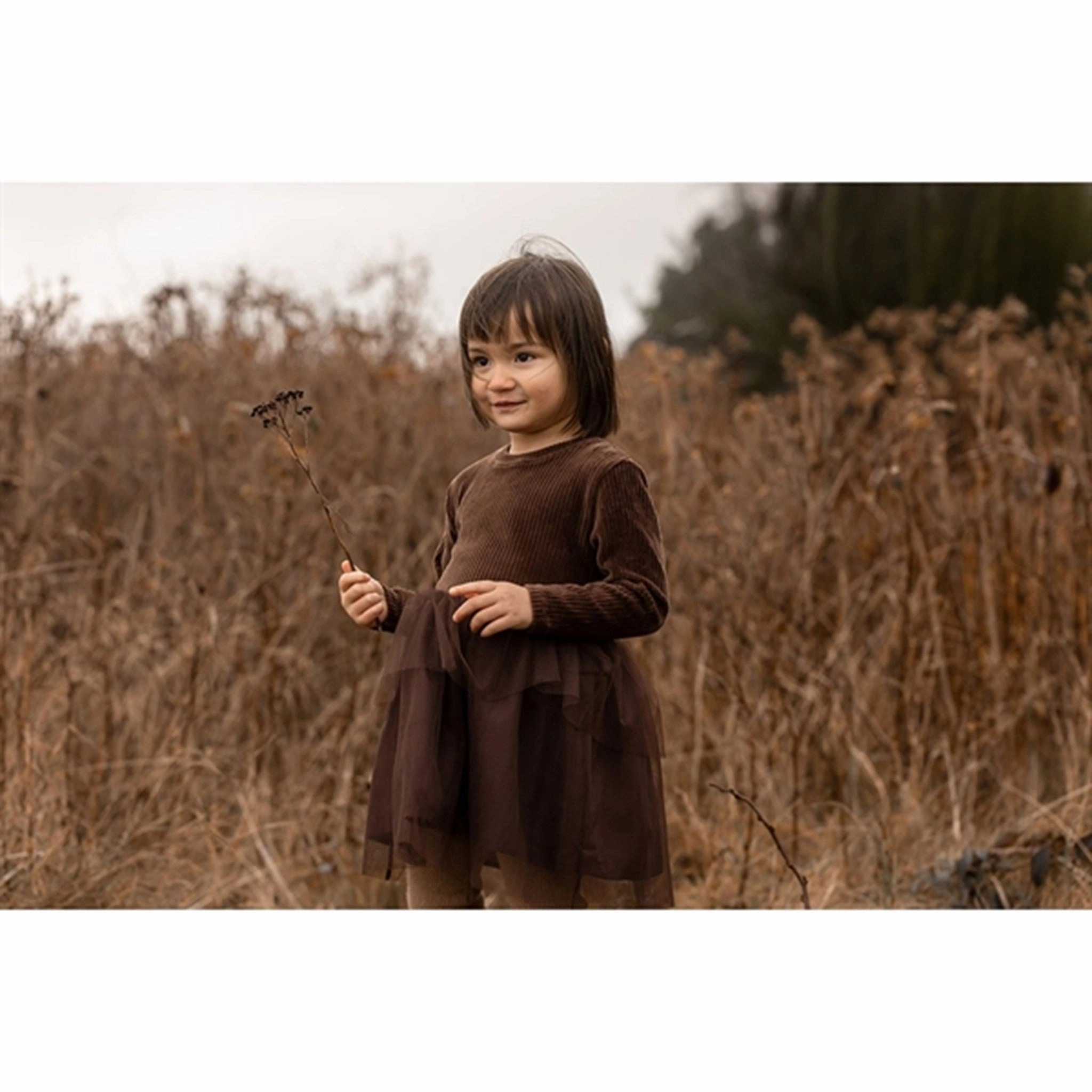Summer Ease Fliink Cub Velvet Tulle Dress