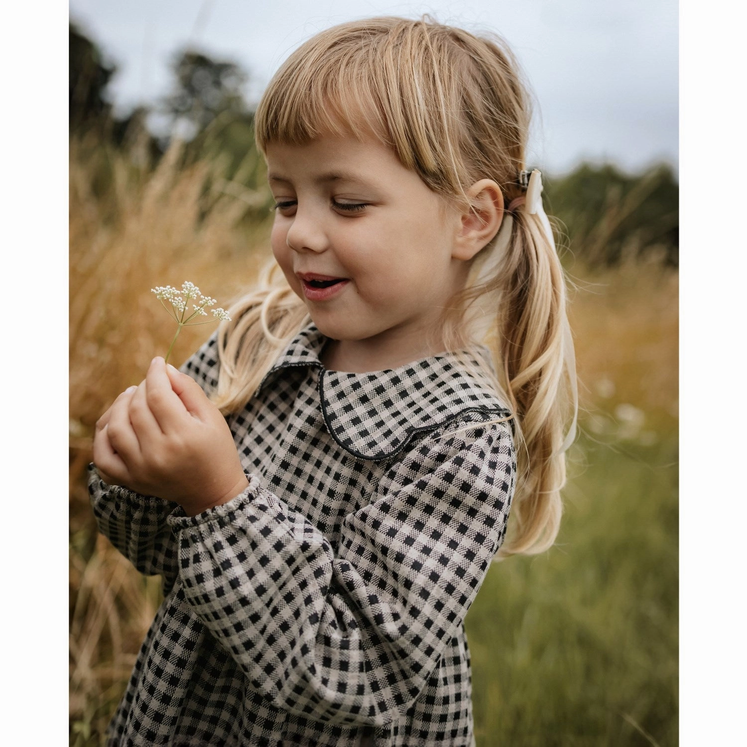 Flattering Layers Non-Iron Fliink Sandshell/Carafe Ella Ls Dress