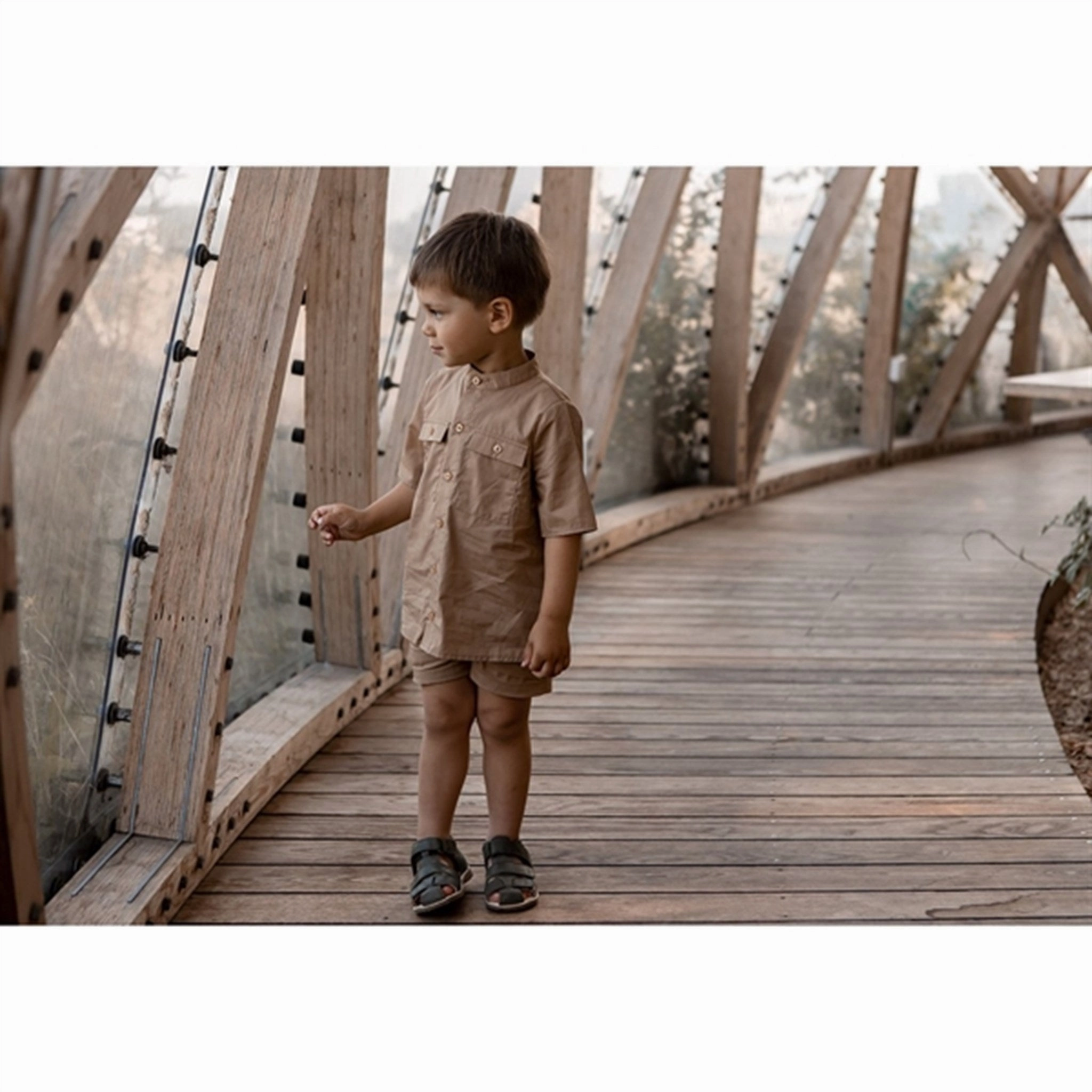 Iconic look Snag Resistant Fabric Fliink Tigers Eye Banjo Shirt