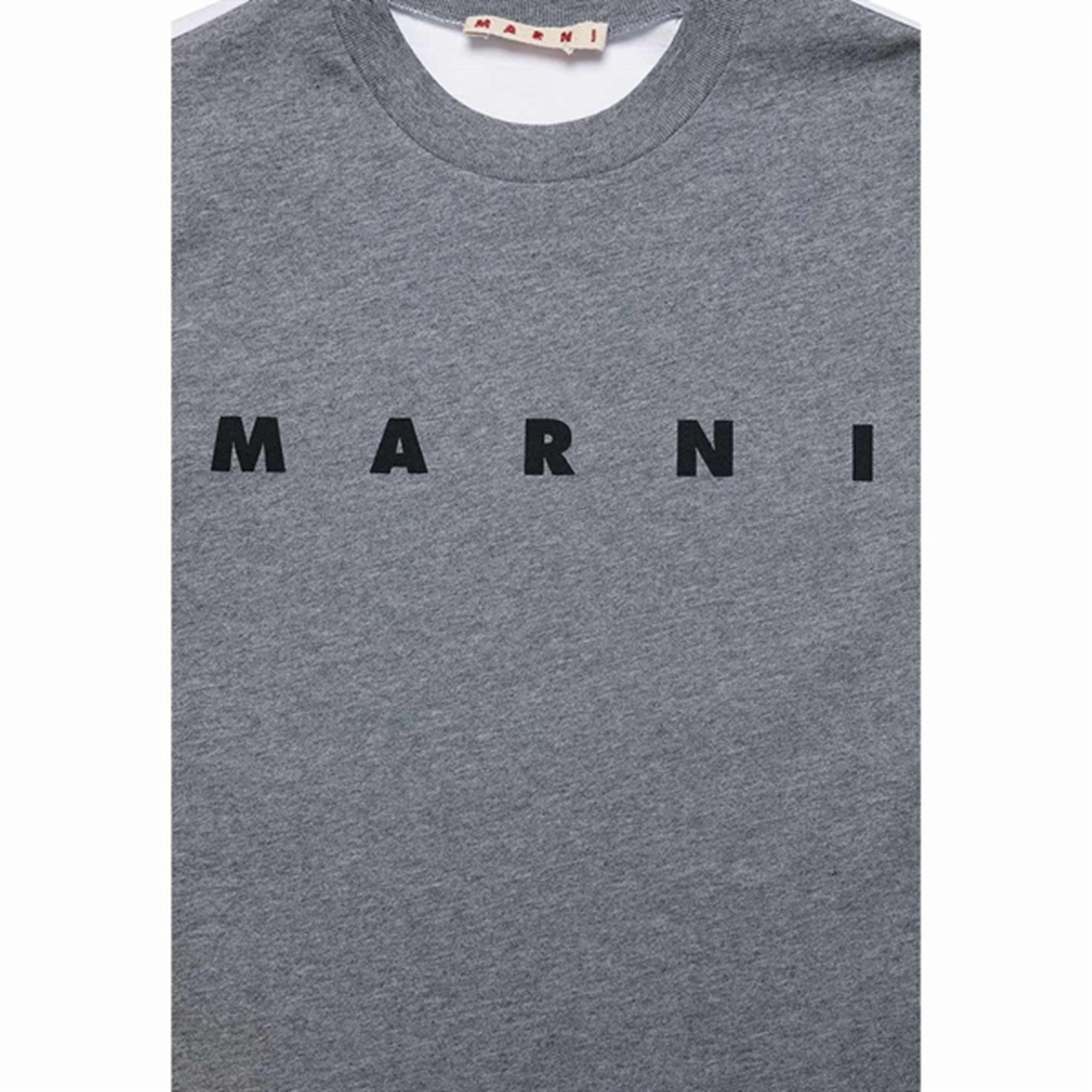 Wide Neck Opening Marni Medium Gray T-shirt