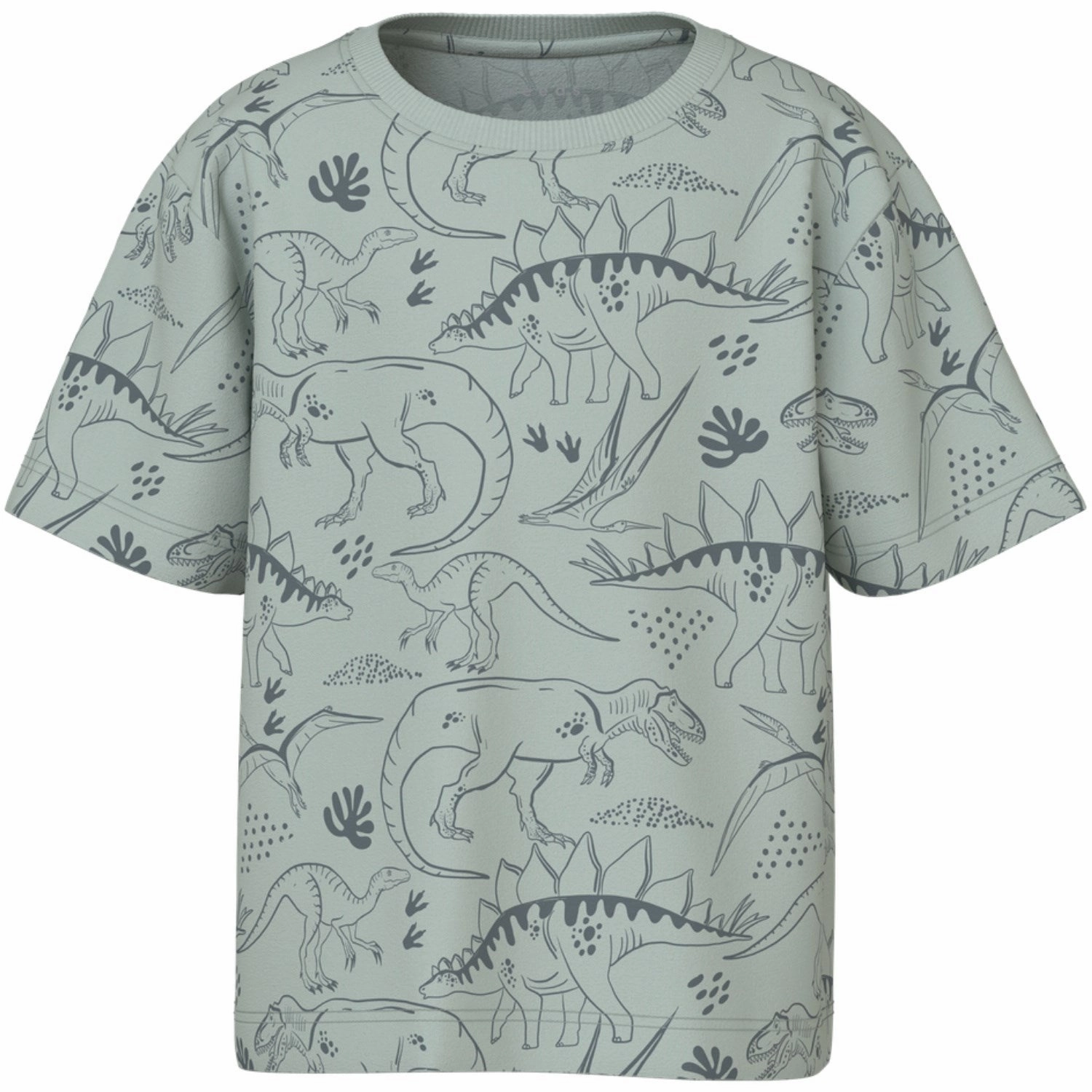 Stylish Details Soft Layer Name It Aqua Gray Tone Dino Valther Regular T-Shirt