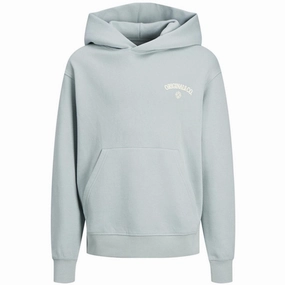Luxury Feel Nursing wear Jack & Jones Junior Gray Mist Jorsantorini Graphic Sweat Hoodie