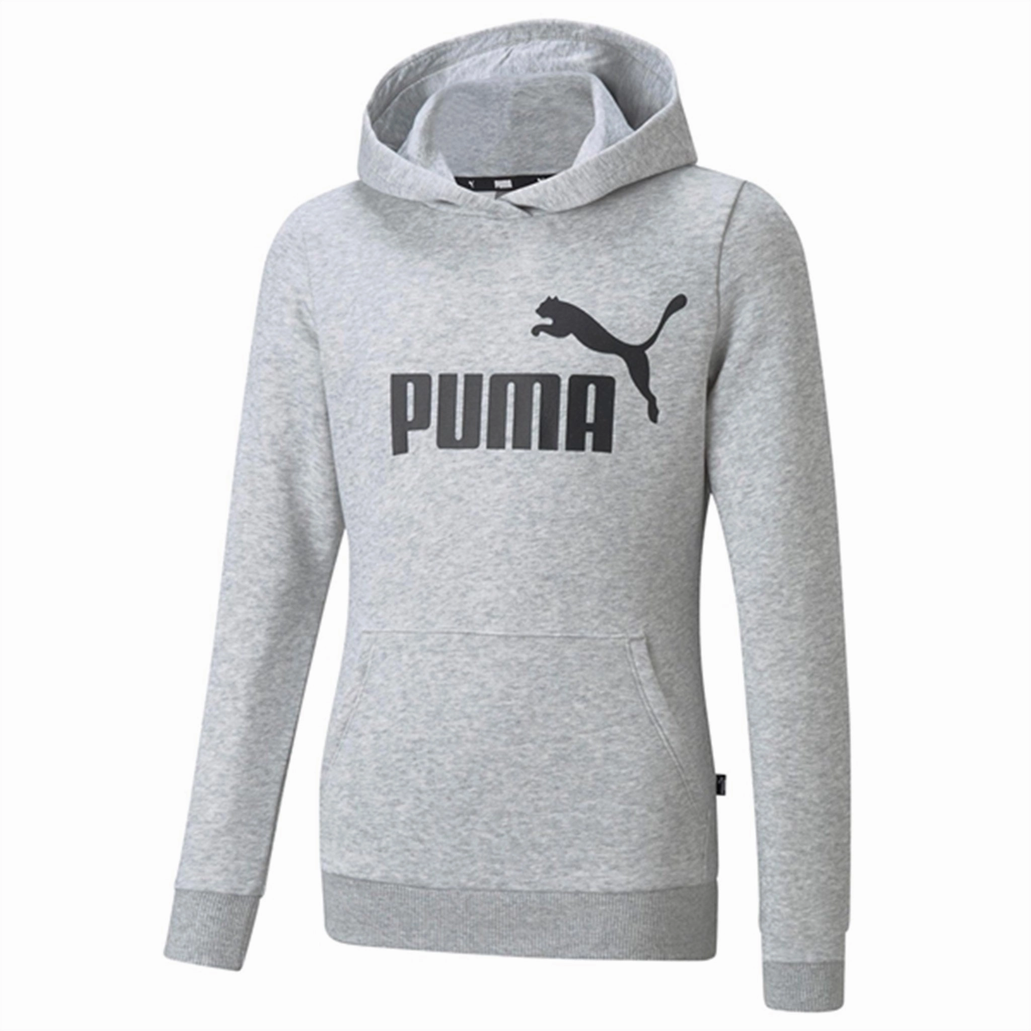 Puma Hoodie Grey Winter Energy