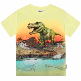 Molo Volcano Dino Riley T-Shirt Simple Layer Layering Essential