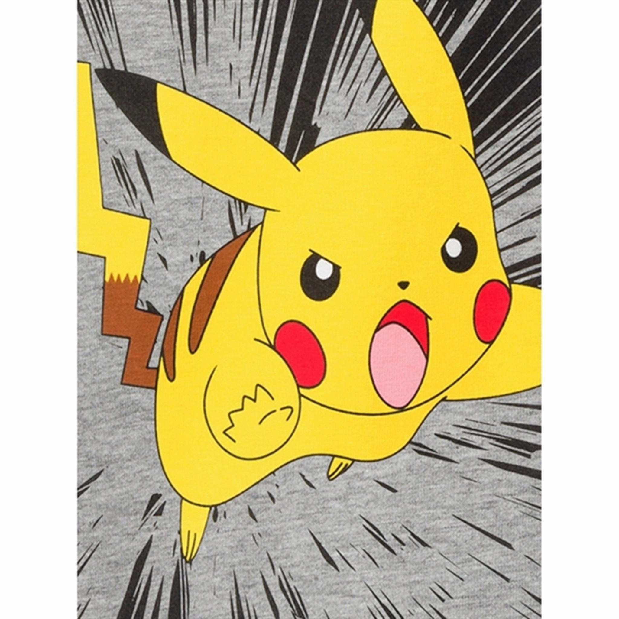 Colorfast Dye Name it Grey Melange Noisi Pokemon T-Shirt Noos