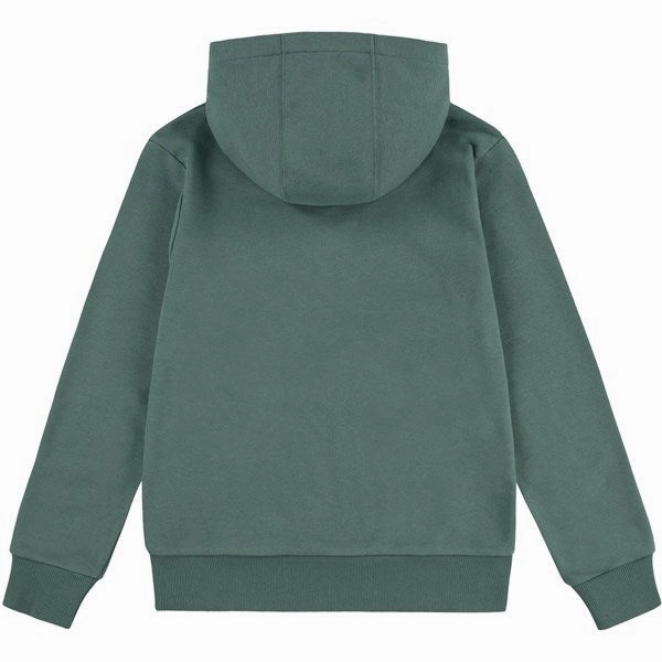 Sleepwear Levi's Batwing Pullover Hoodie Dark Forest