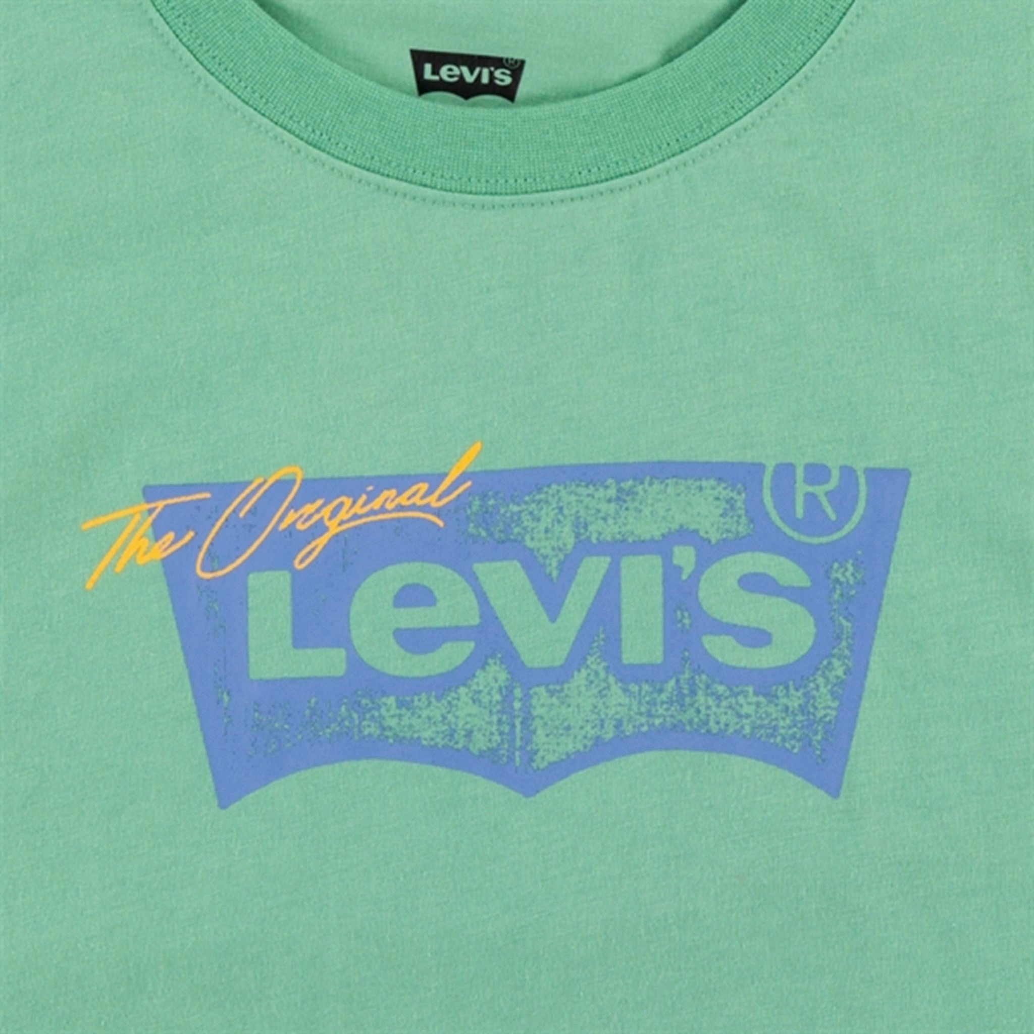 Levi's Distressed Batwing T-shirt Green Low Profile Silhouette