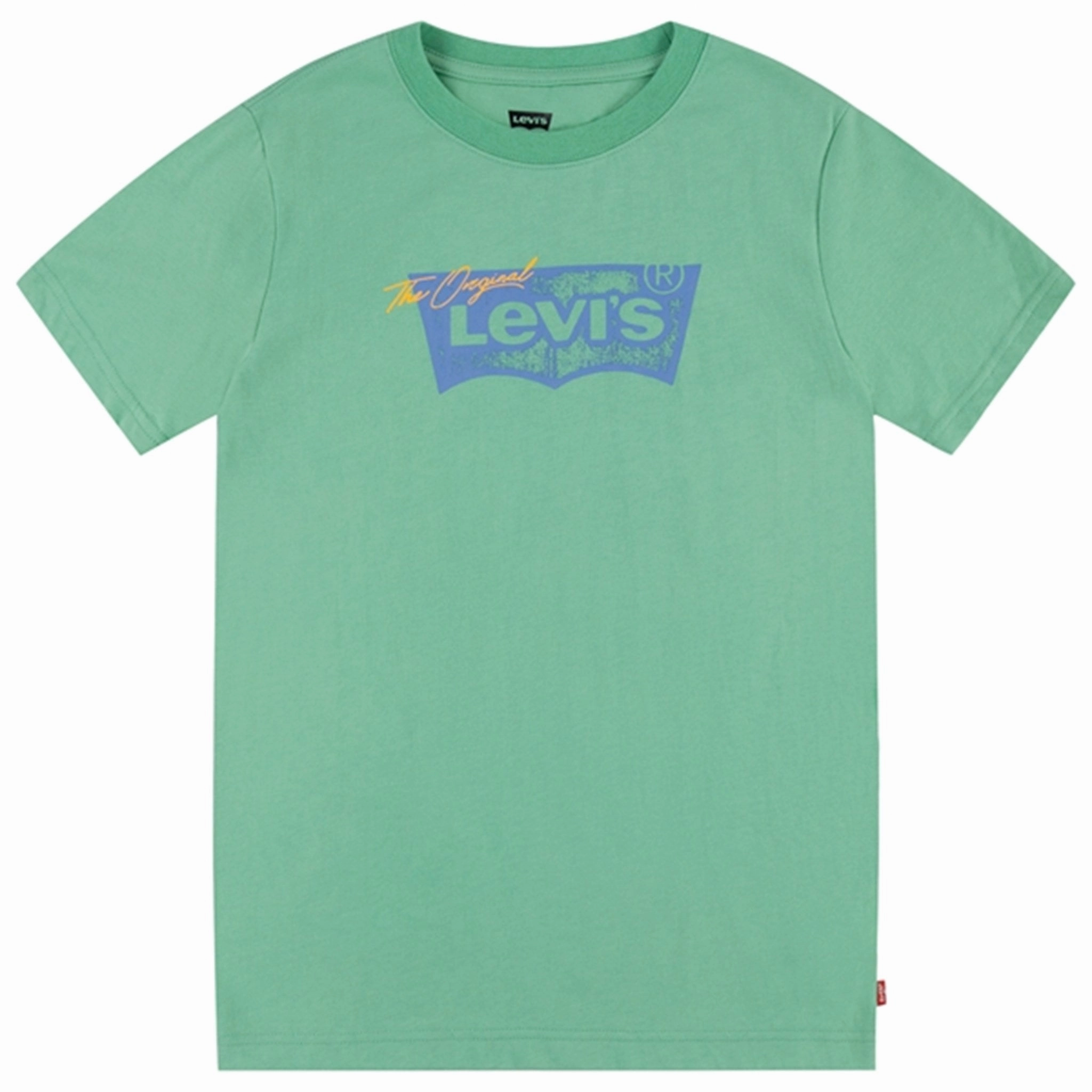 Levi's Distressed Batwing T-shirt Green Cozy Feeling