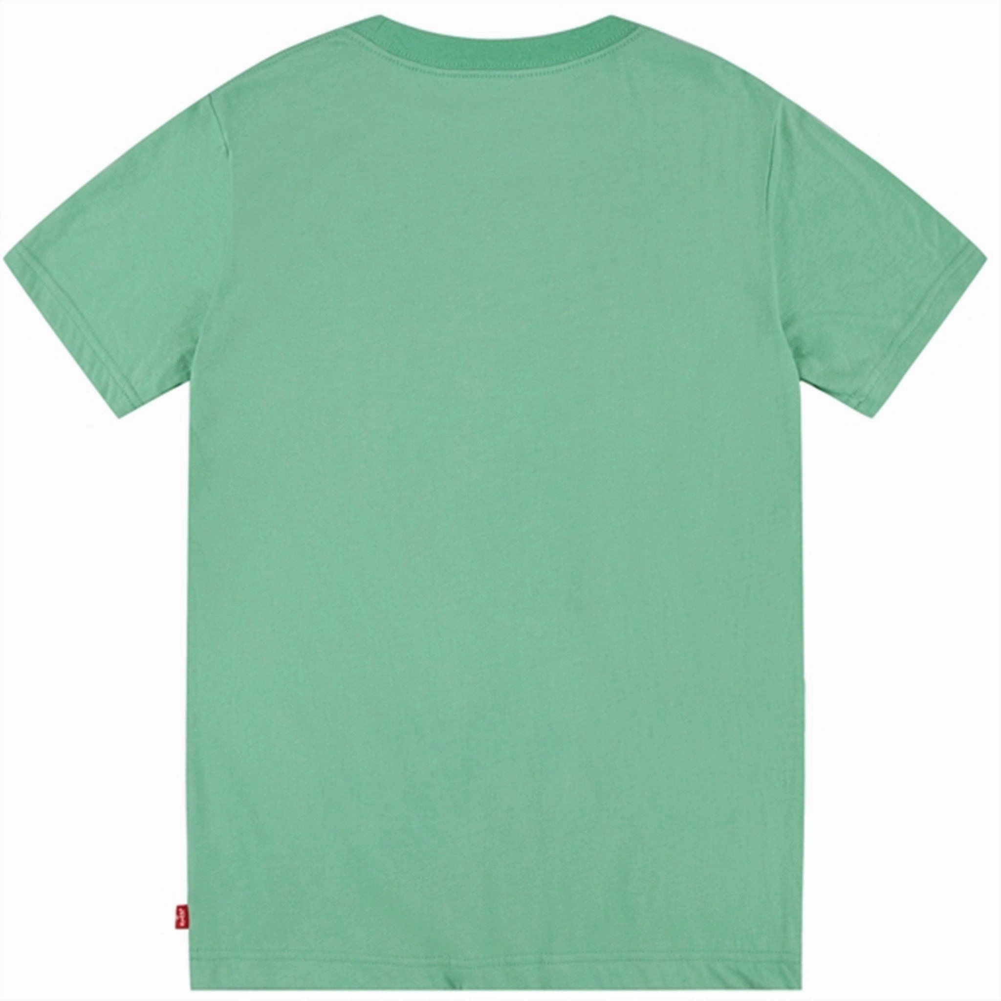 Simple Comfort Wear Levi's Distressed Batwing T-shirt Green