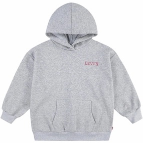 Bohemian style Dual Layered Fabric Levi's GREY Collegiate Pullover Hoodie