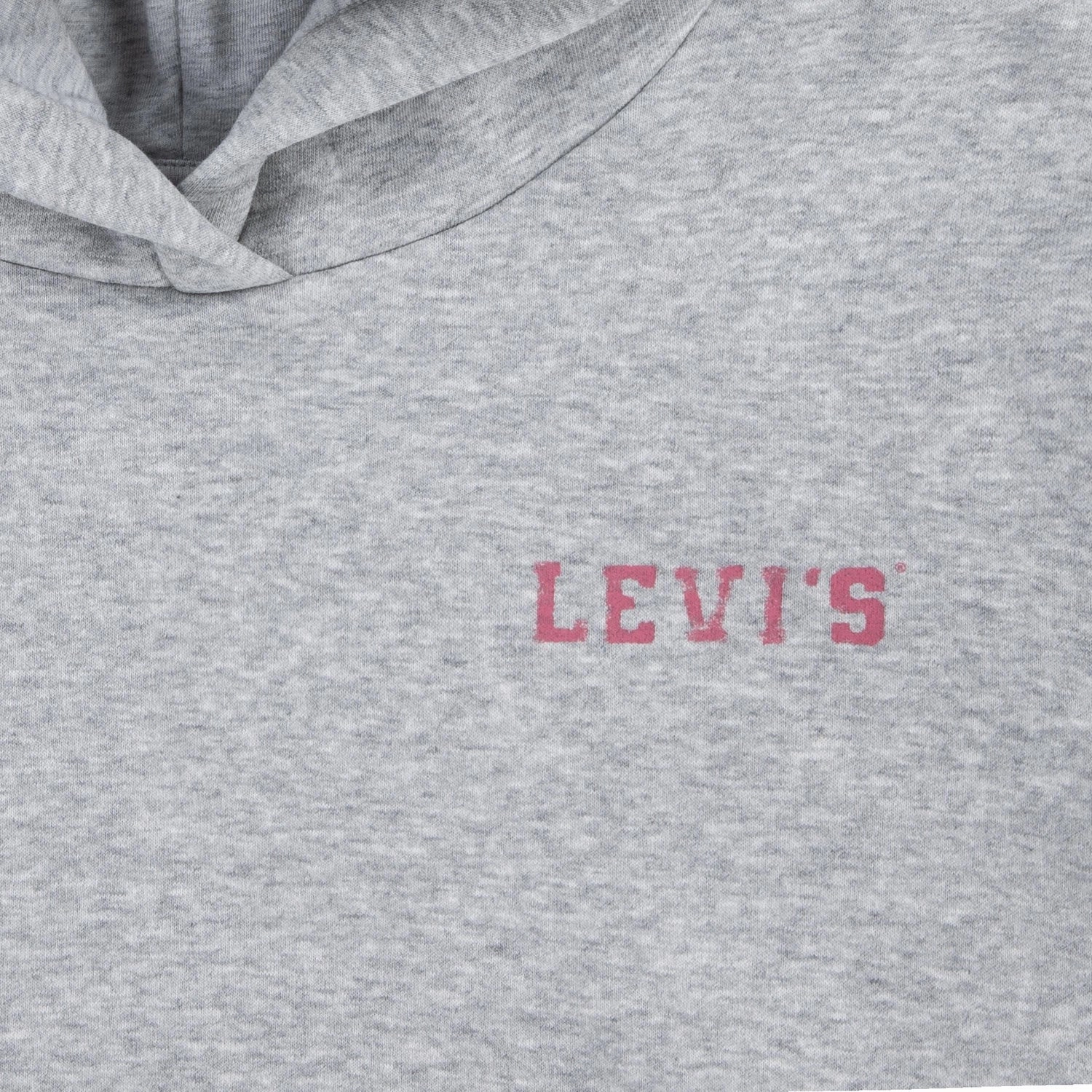 Oversized style Yoke Back Design Levi's GREY Collegiate Pullover Hoodie