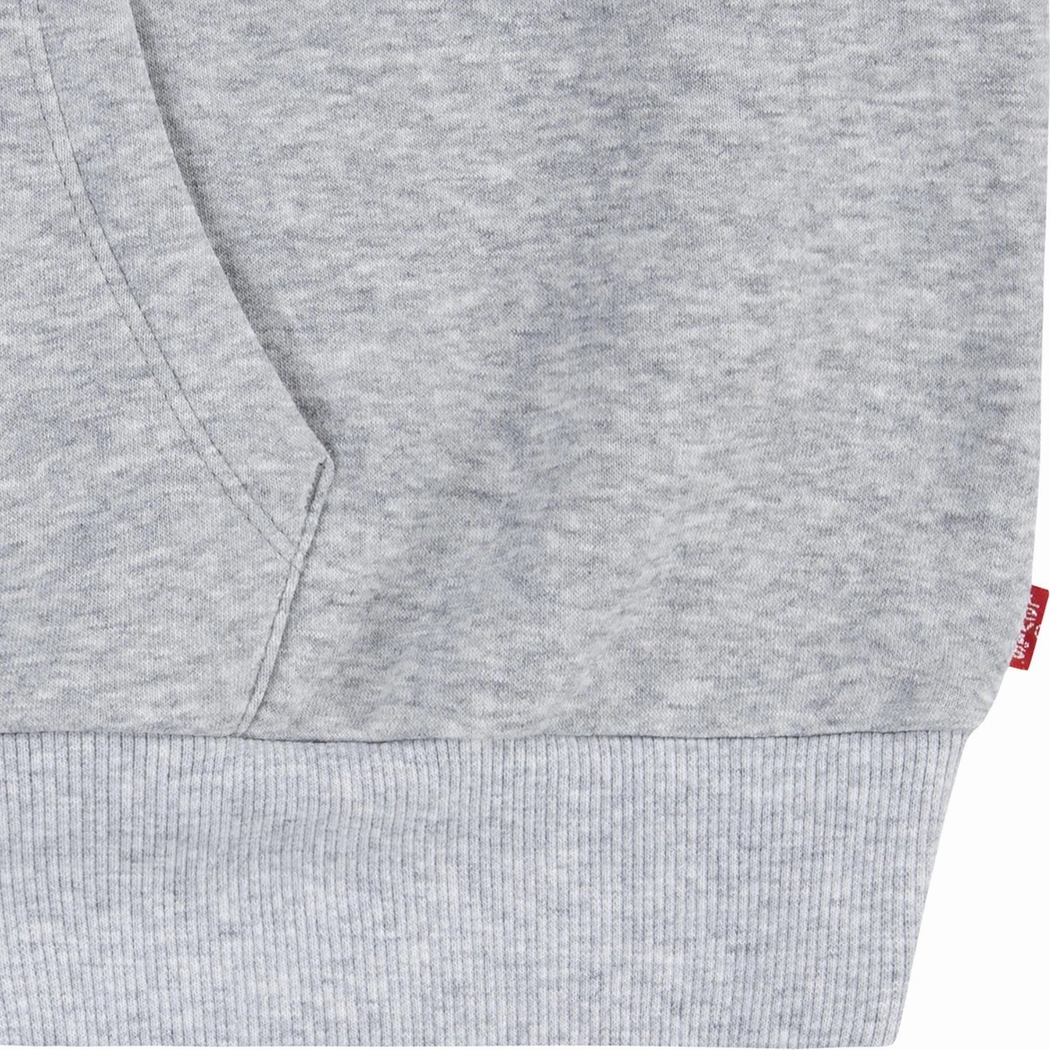 Heavyweight Option Lifestyle Scene Levi's GREY Collegiate Pullover Hoodie