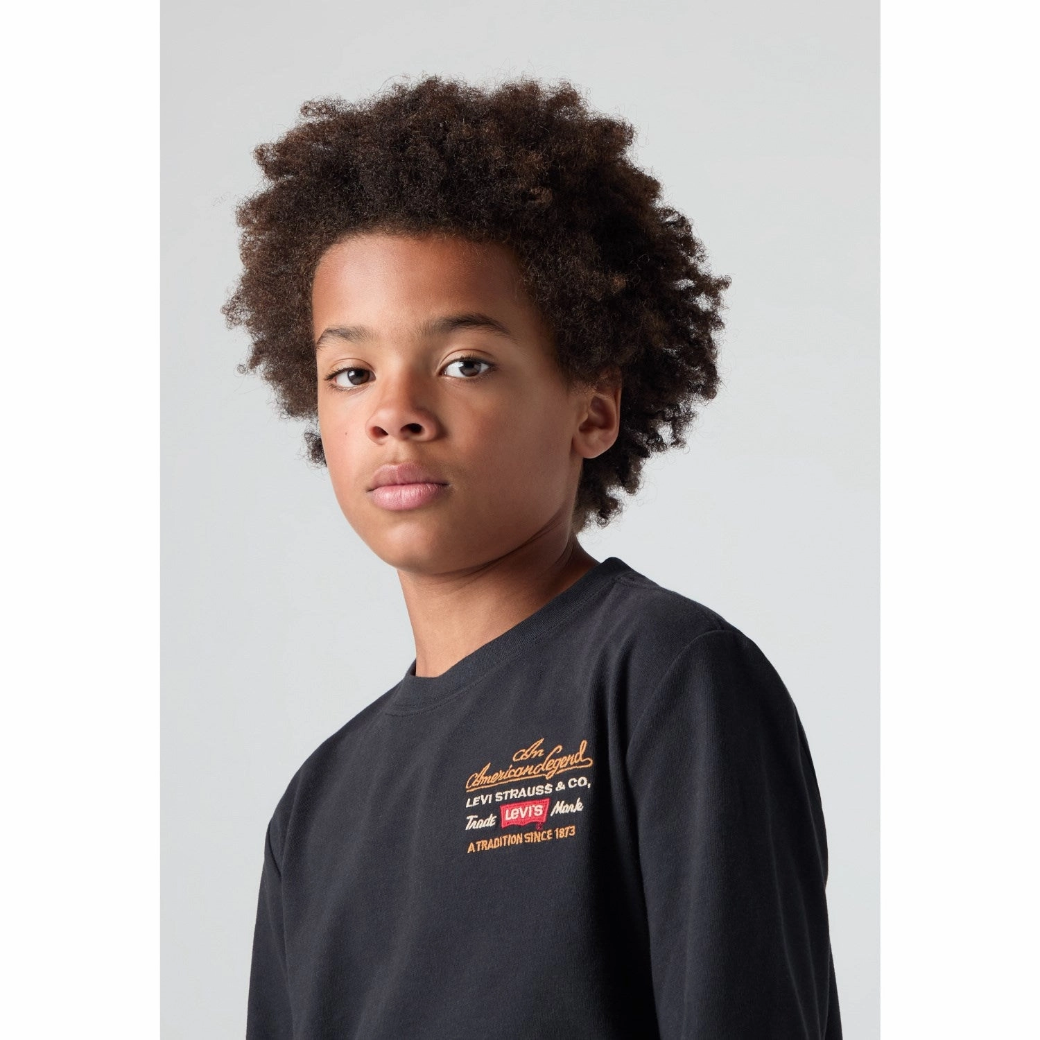 High-Quality Material Levi's Jet Black Legendary Ls Tee