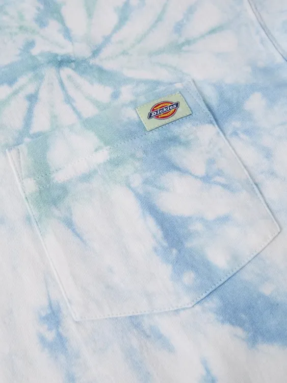 Dickies maglietta manica corta Seatac DK0A4XNZC341 C34 seladon verde Seasonal Comfort Style Short Sleeve