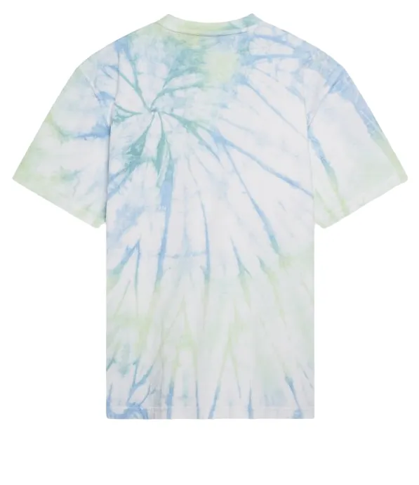 Dickies maglietta manica corta Seatac DK0A4XNZC341 C34 seladon verde Athletic and Cool