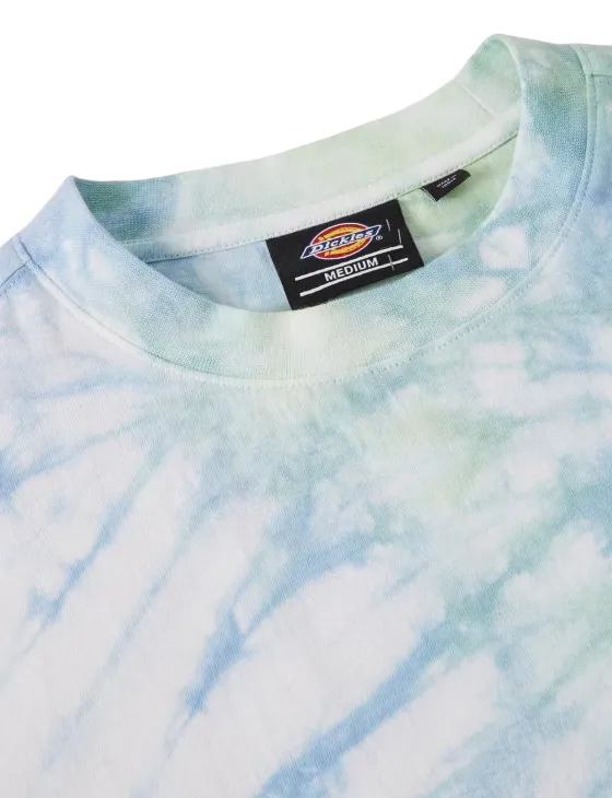 vacation wear soft look Dickies maglietta manica corta Seatac DK0A4XNZC341 C34 seladon verde