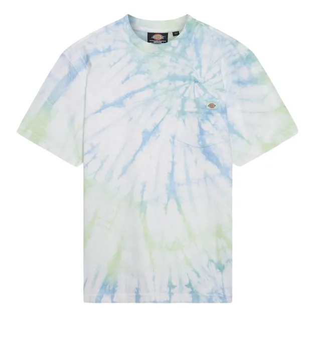 Dickies maglietta manica corta Seatac DK0A4XNZC341 C34 seladon verde V neck style