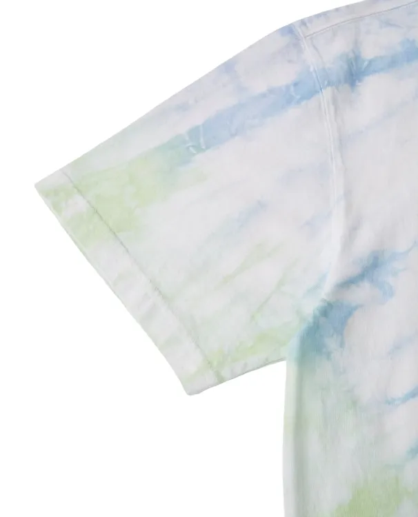 Versatile Apparel Sustainable Fibers Dickies maglietta manica corta Seatac DK0A4XNZC341 C34 seladon verde